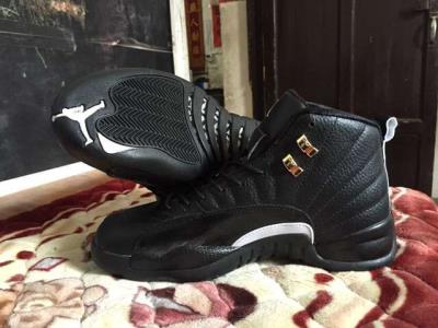 Air Jordan 12-235